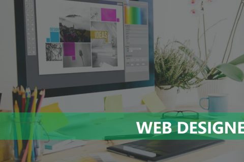 Web Designer